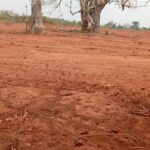 Délocalisation de Sagonou La CGLTE Togo à Sagonou pour le constat