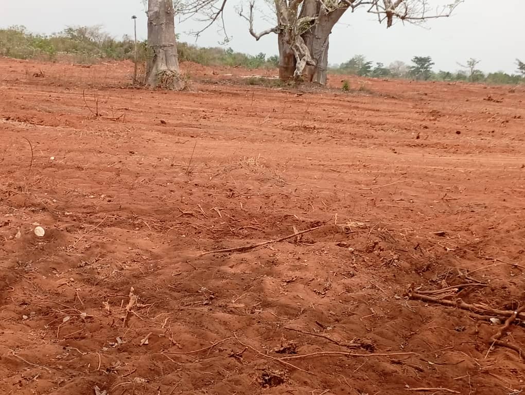 Délocalisation de Sagonou La CGLTE Togo à Sagonou pour le constat