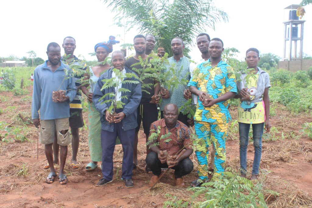 À Sagonou, NO VOX-TOGO replante l’espoir sur une terre menacée