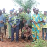 À Sagonou, NO VOX-TOGO replante l’espoir sur une terre menacée