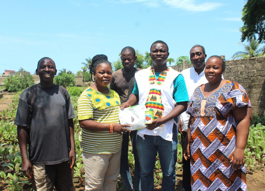 Résilience en milieu rural : NOVOX TOGO soutient les producteurs vulnérables par des semences pour consolider la souveraineté alimentaire